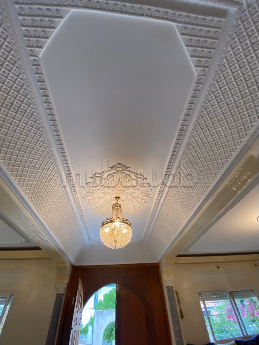 Moderne en Traditionele Villa