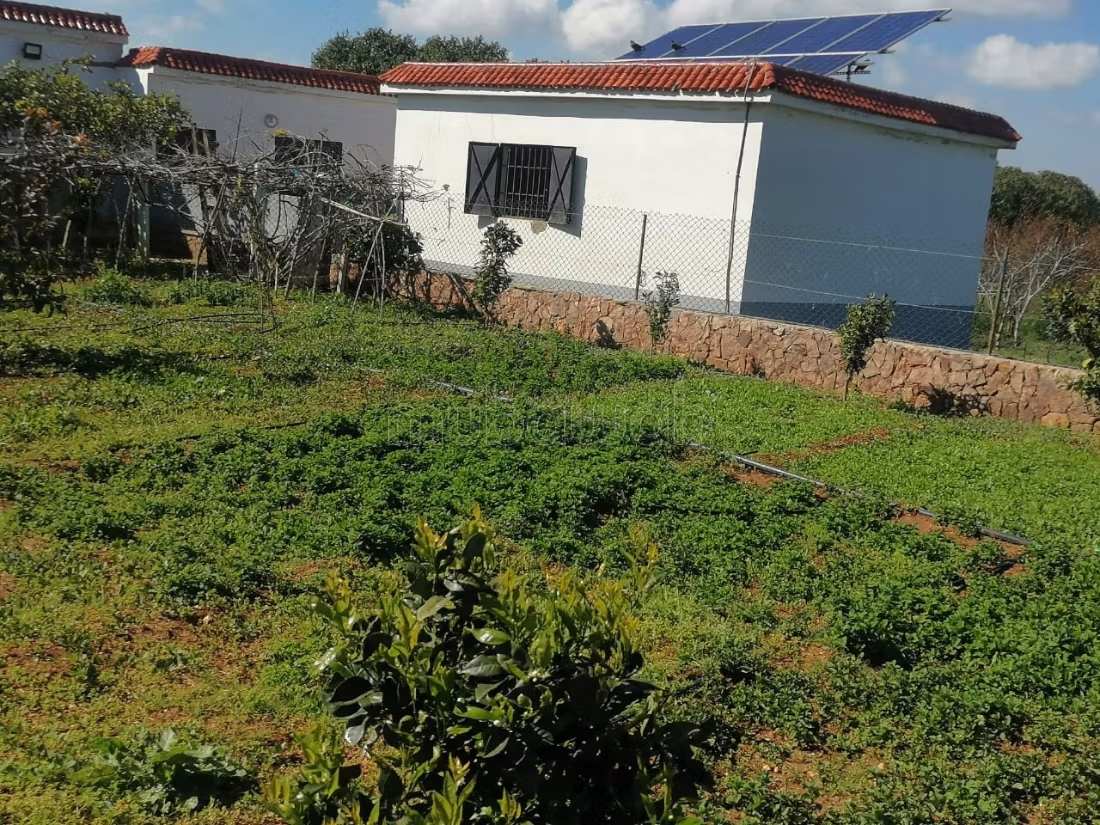 Hermosa granja titulada de 1 hectárea a 7 km de Benslimane