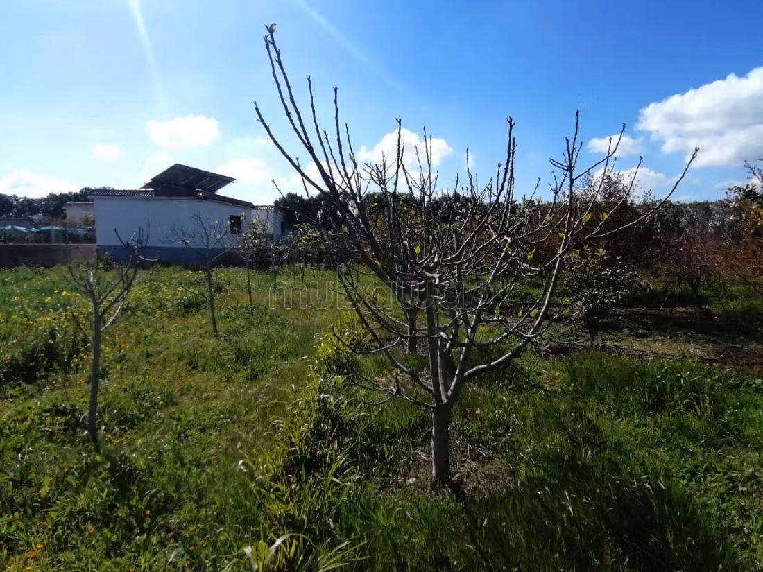 Hermosa granja titulada de 1 hectárea a 7 km de Benslimane