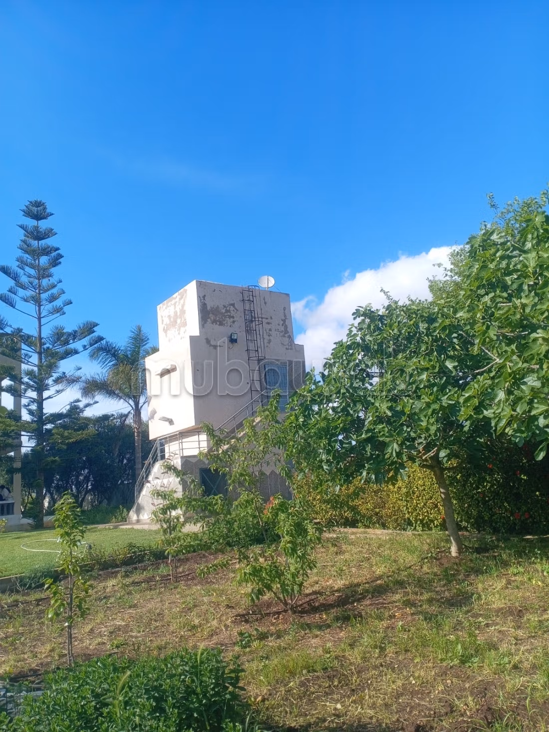 Hermosa granja titulada de 1 hectárea cerca de Benslimane