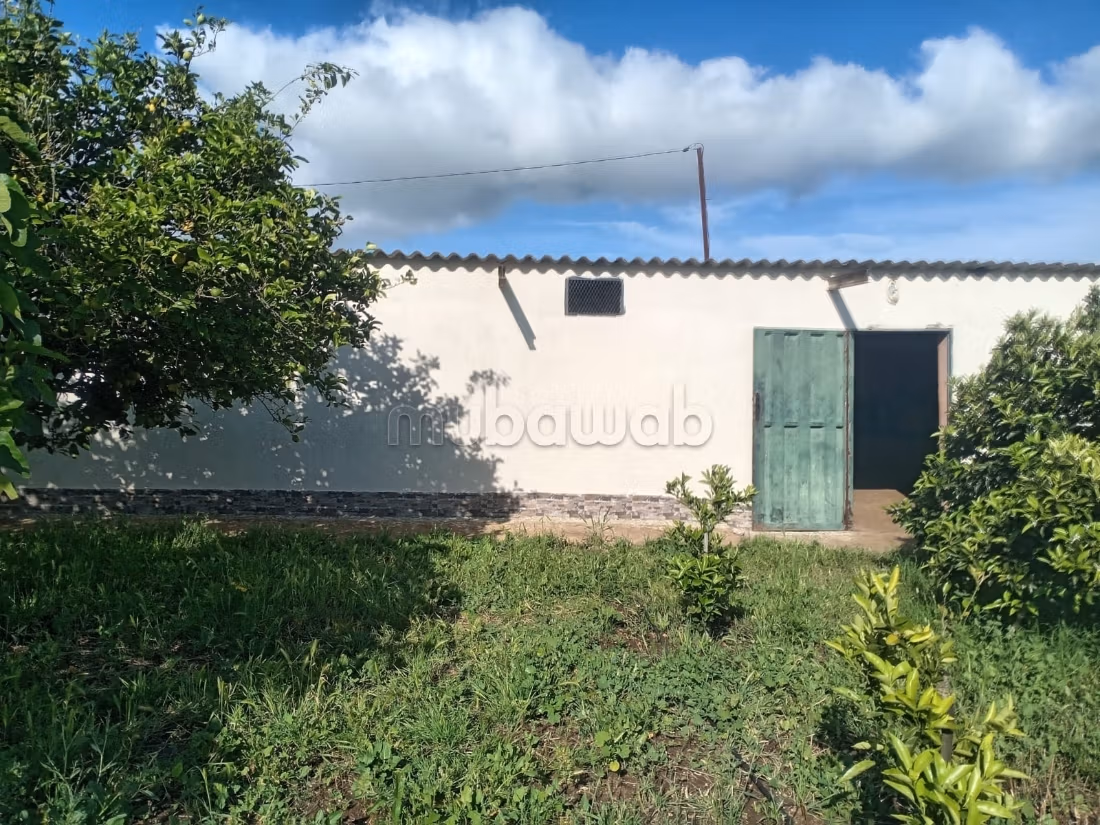 Hermosa granja titulada de 1 hectárea cerca de Benslimane
