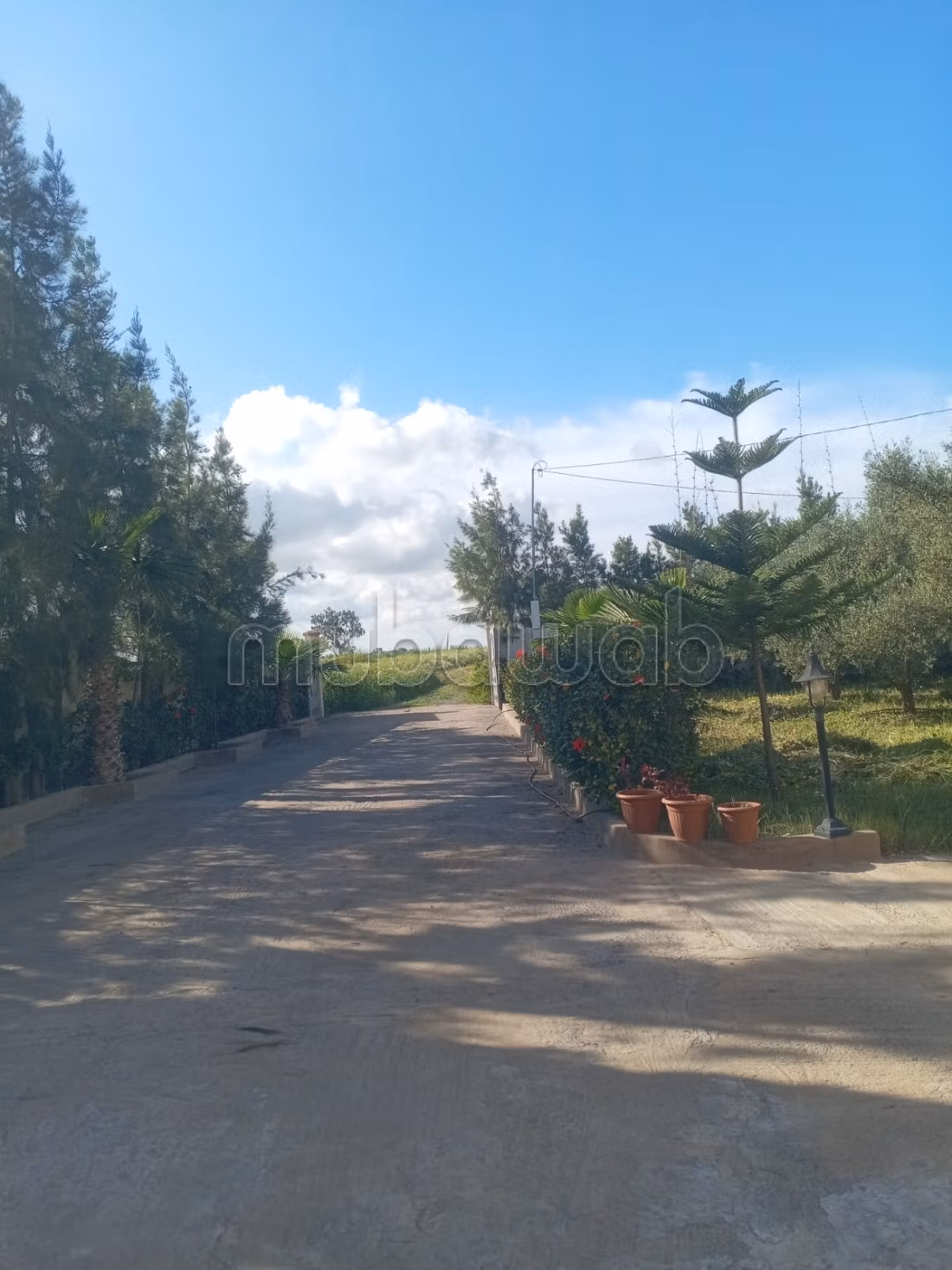 Hermosa granja titulada de 1 hectárea cerca de Benslimane