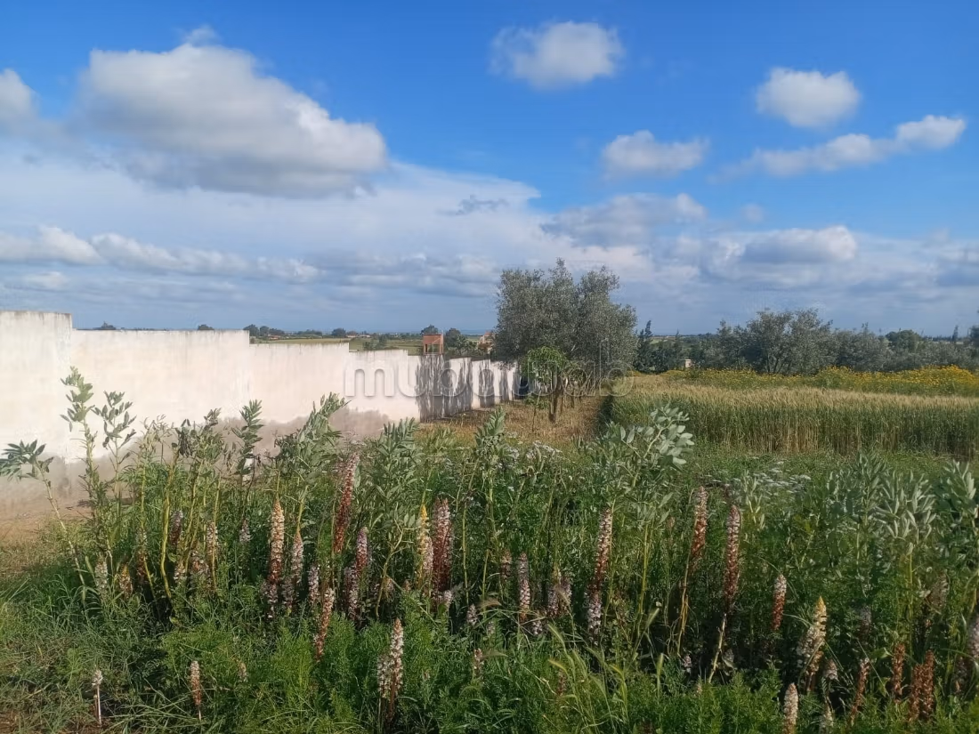 Hermosa granja titulada de 1 hectárea cerca de Benslimane