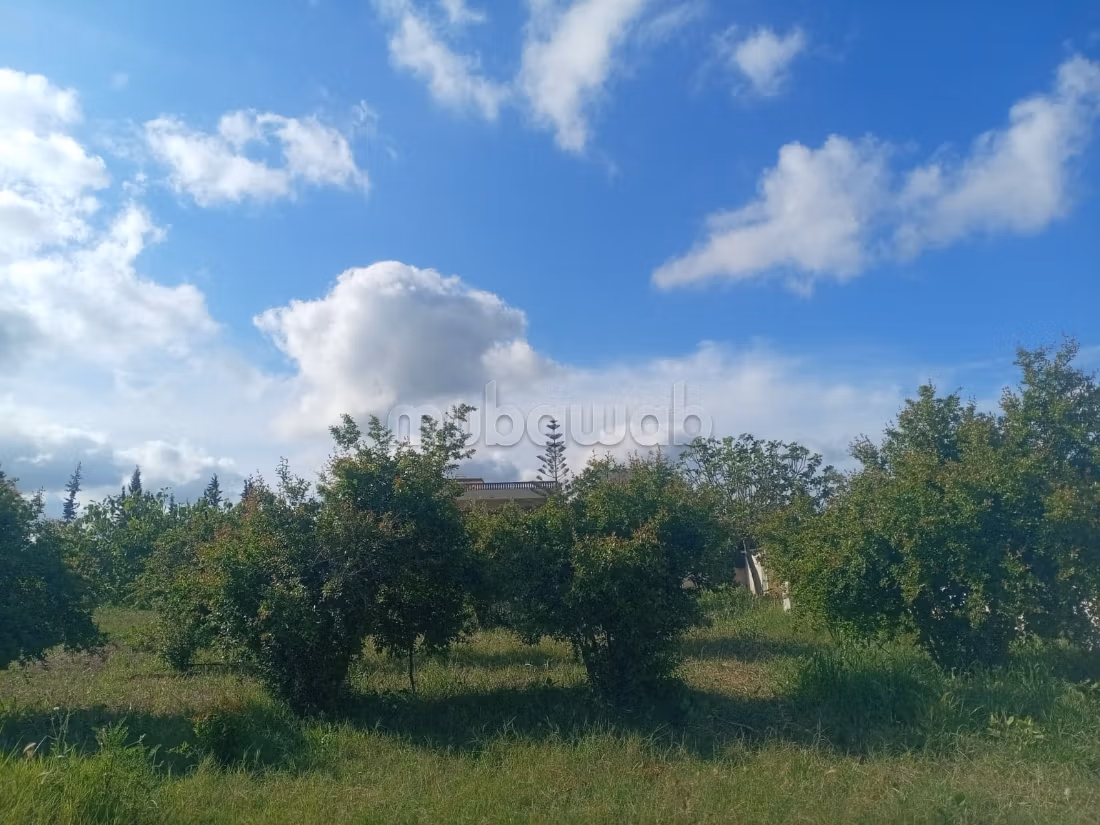 Hermosa granja titulada de 1 hectárea cerca de Benslimane