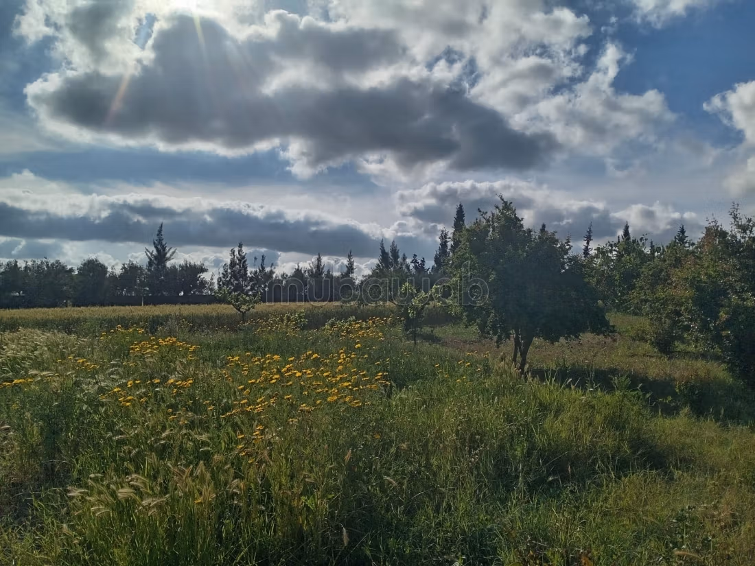 Hermosa granja titulada de 1 hectárea cerca de Benslimane