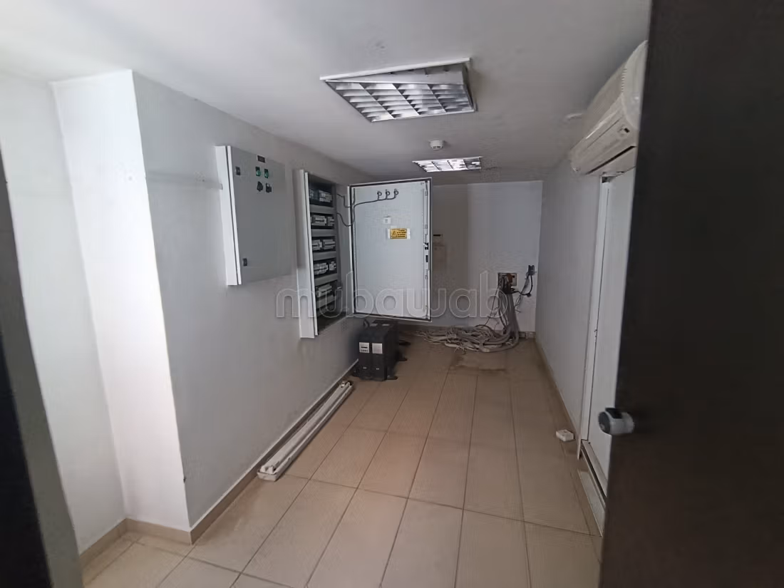 Commerciële ruimte van 627m2 te huur - Palmier
