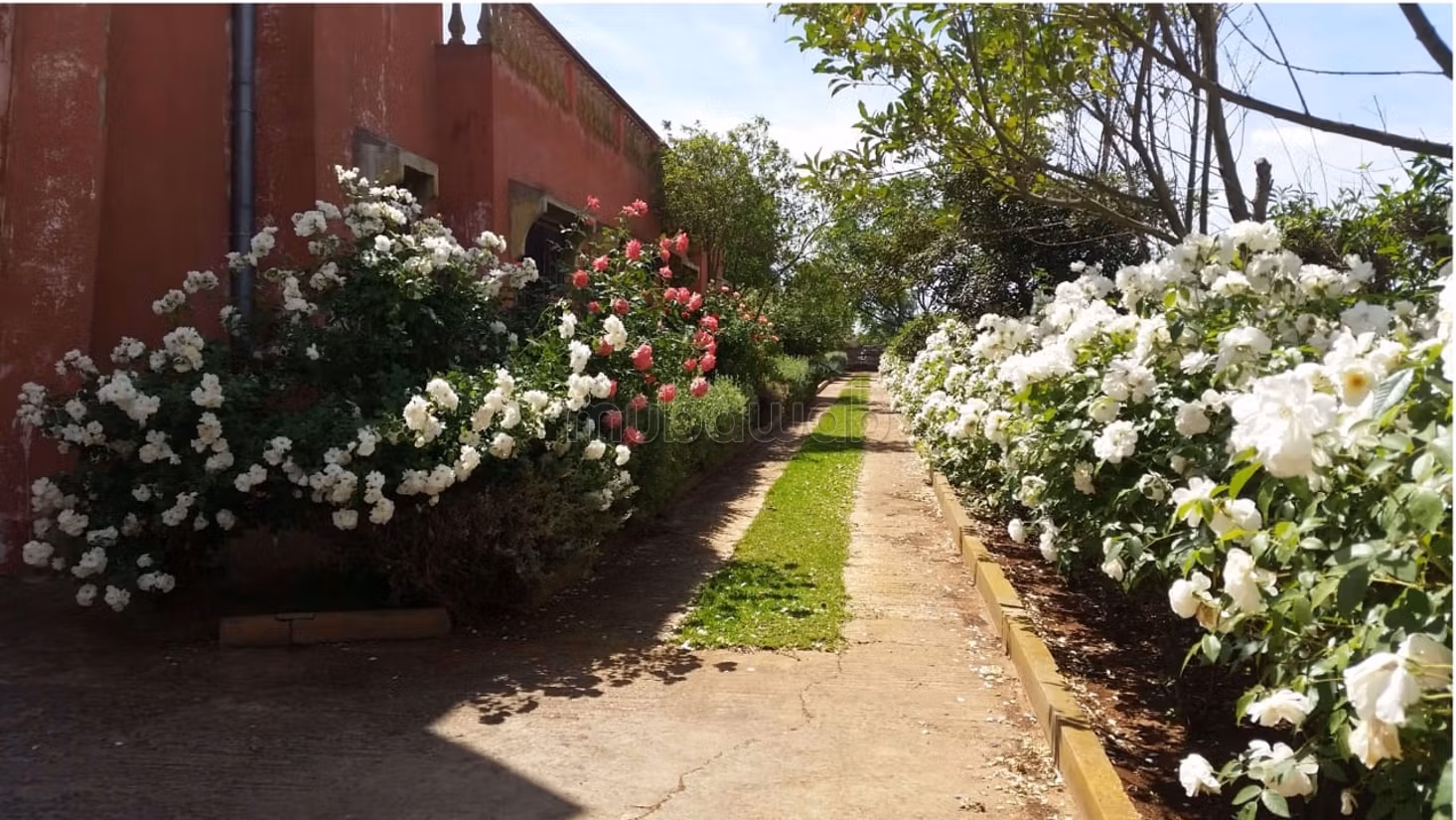 Granja encantadora titulada de 1.3 ha cerca de Bensliman