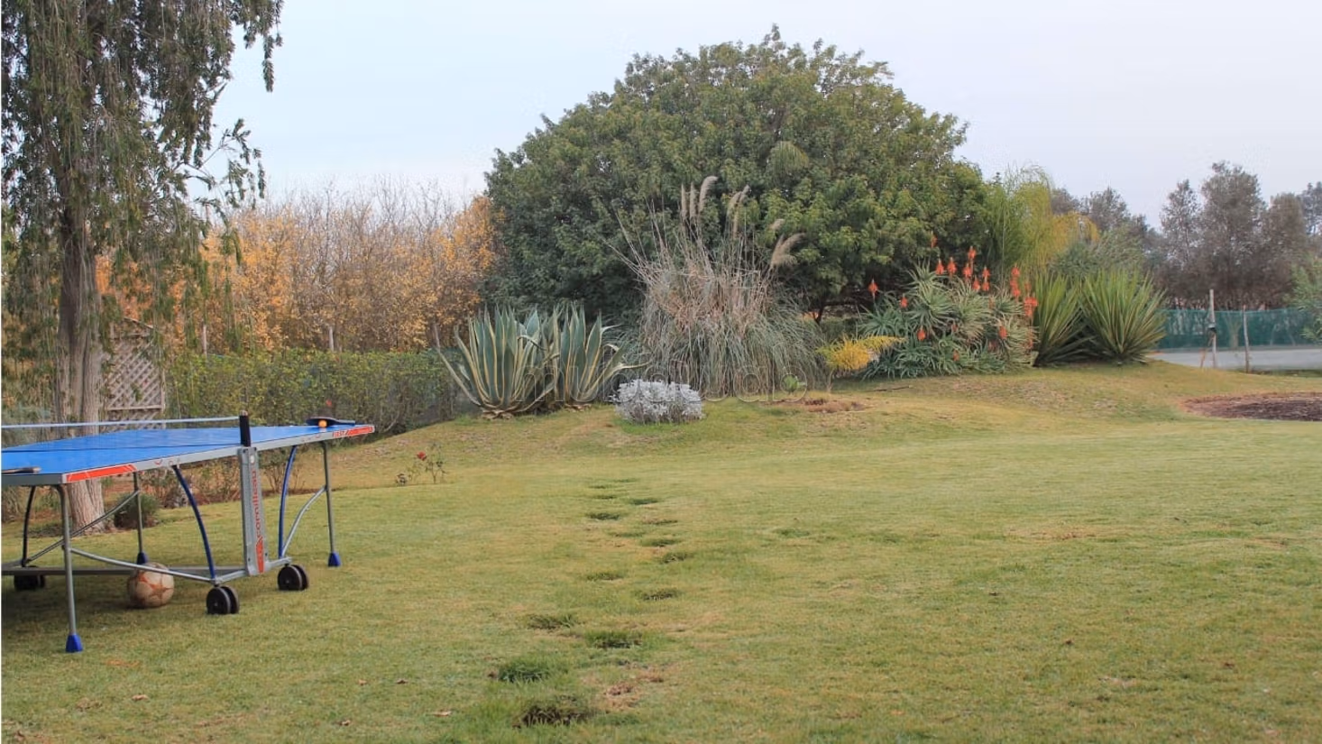 Granja encantadora titulada de 1.3 ha cerca de Bensliman