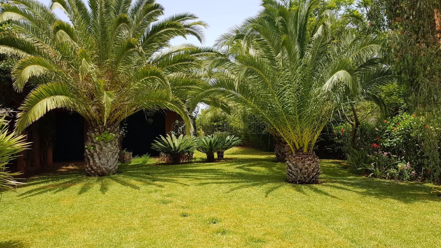 Granja encantadora titulada de 1.3 ha cerca de Bensliman