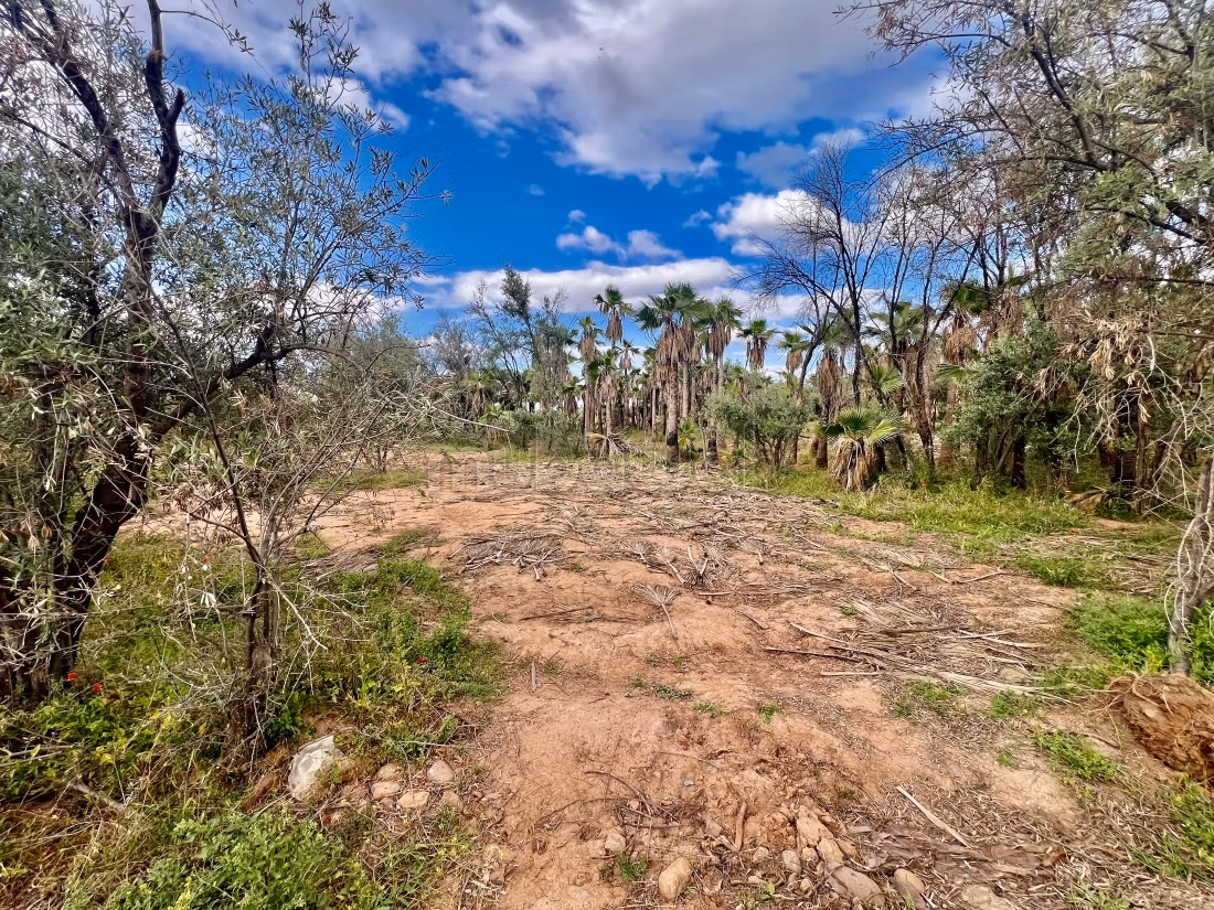 Terrain à vendre à Route de l'Ourika.
Superficie 8336 m²