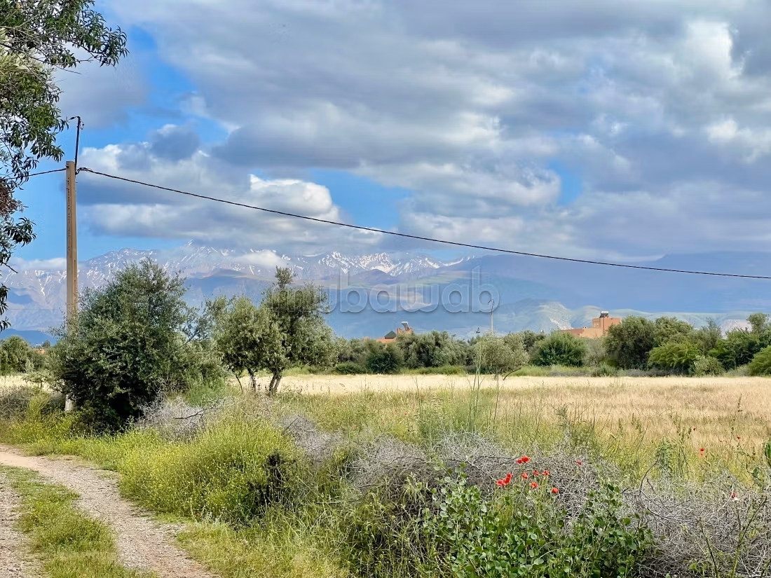 Terrain à vendre à Route de l'Ourika.
Superficie 8336 m²
