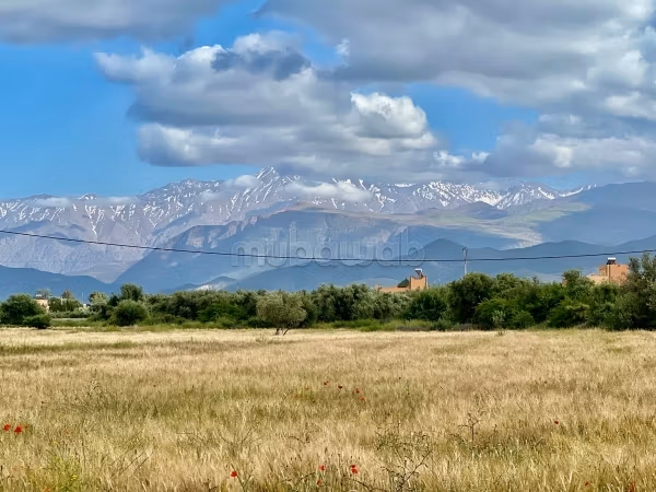 Terrain à vendre à Route de l'Ourika.
Superficie 8336 m²