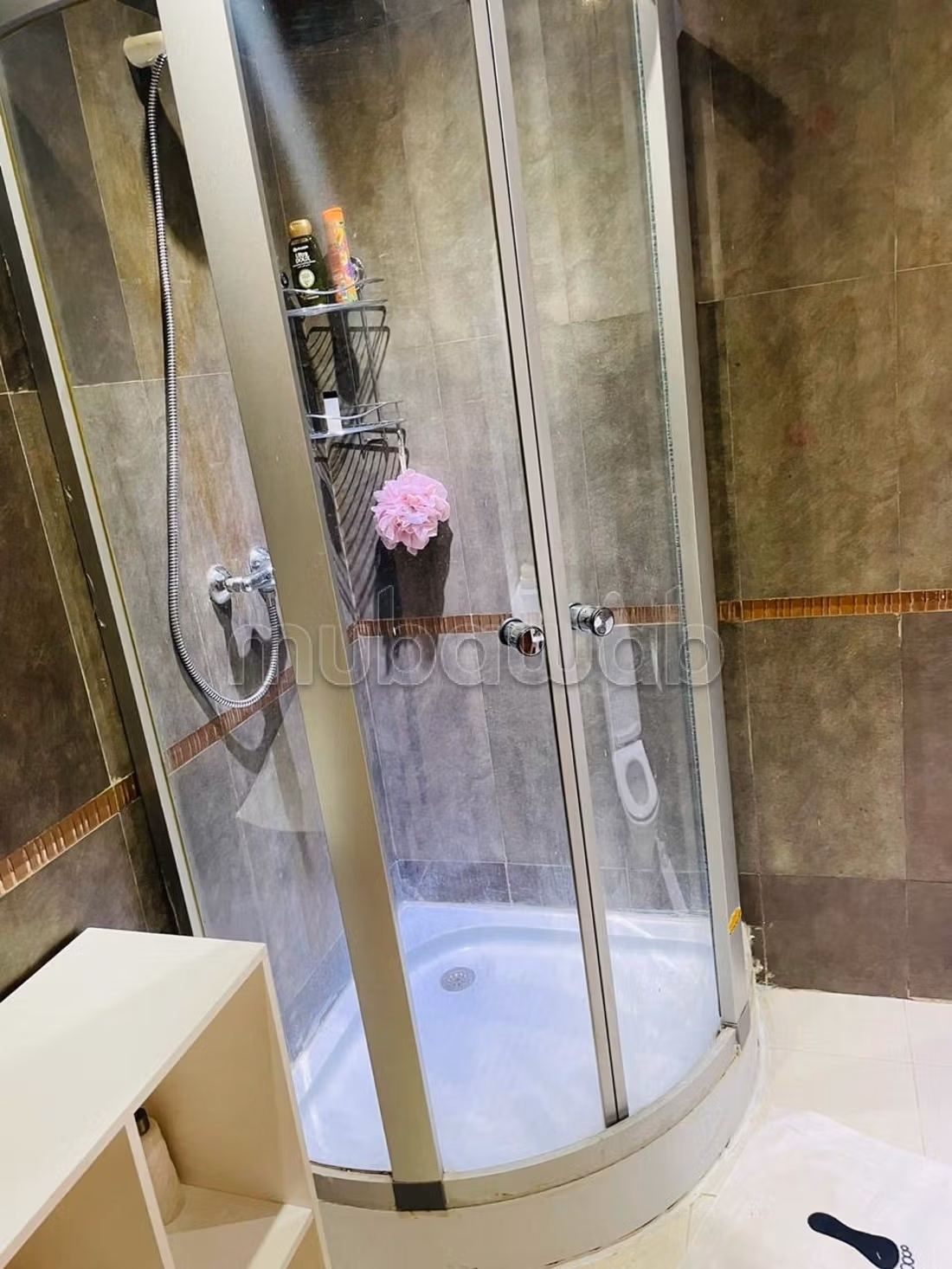 Appartement une chambre salon meublé en location l — 5