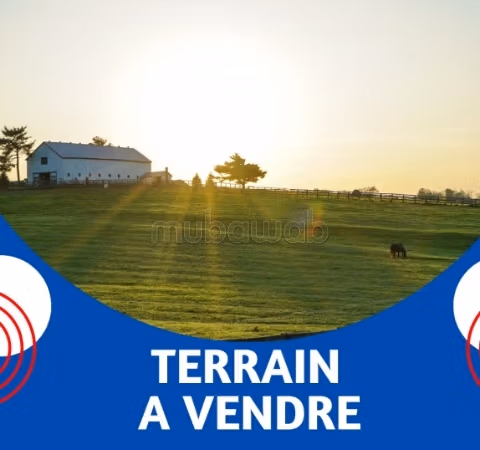 A vendre_terrain constructible_raoued