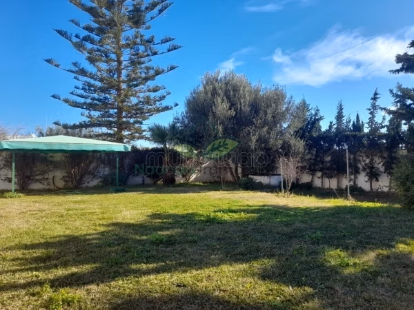 Summer rental S4 Villa with Garden in Hammamet