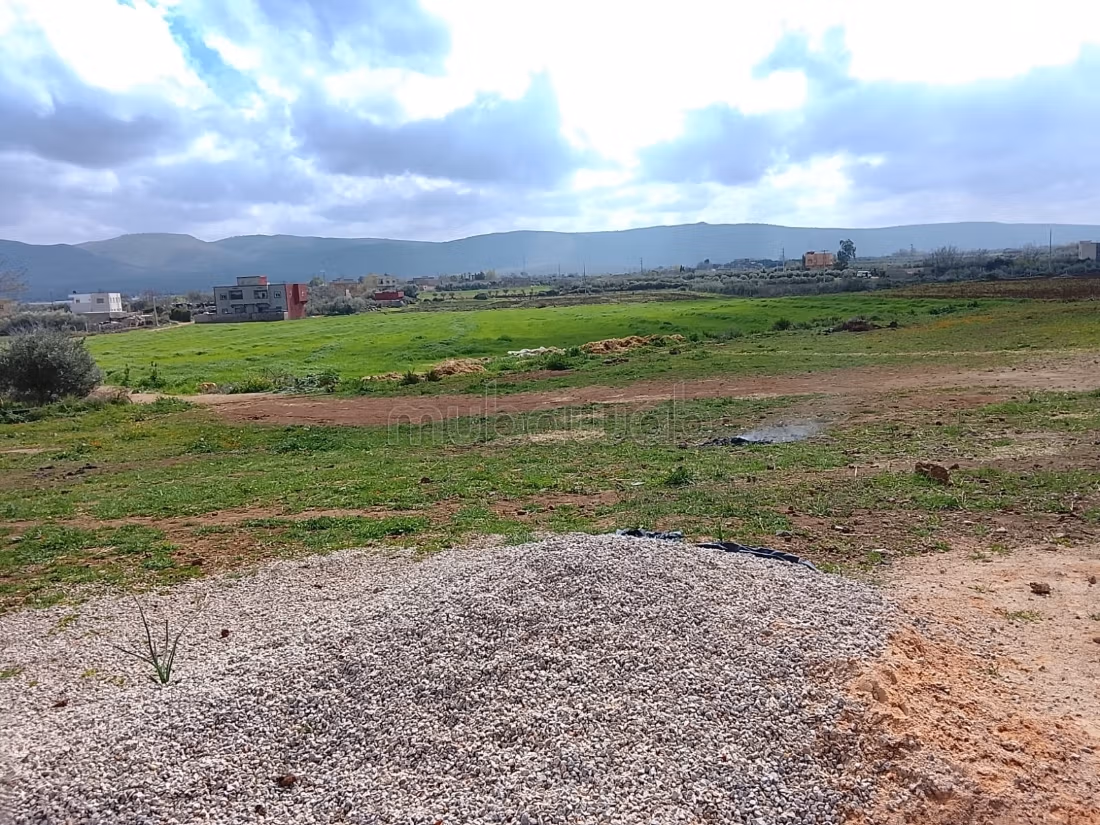 Terrain à la vente à Narjis. 
Surface totale 25000 m²