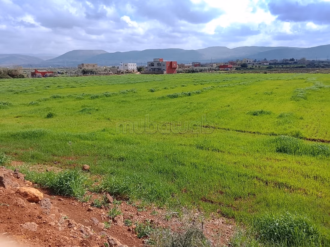 Terrain à la vente à Narjis. 
Surface totale 25000 m²