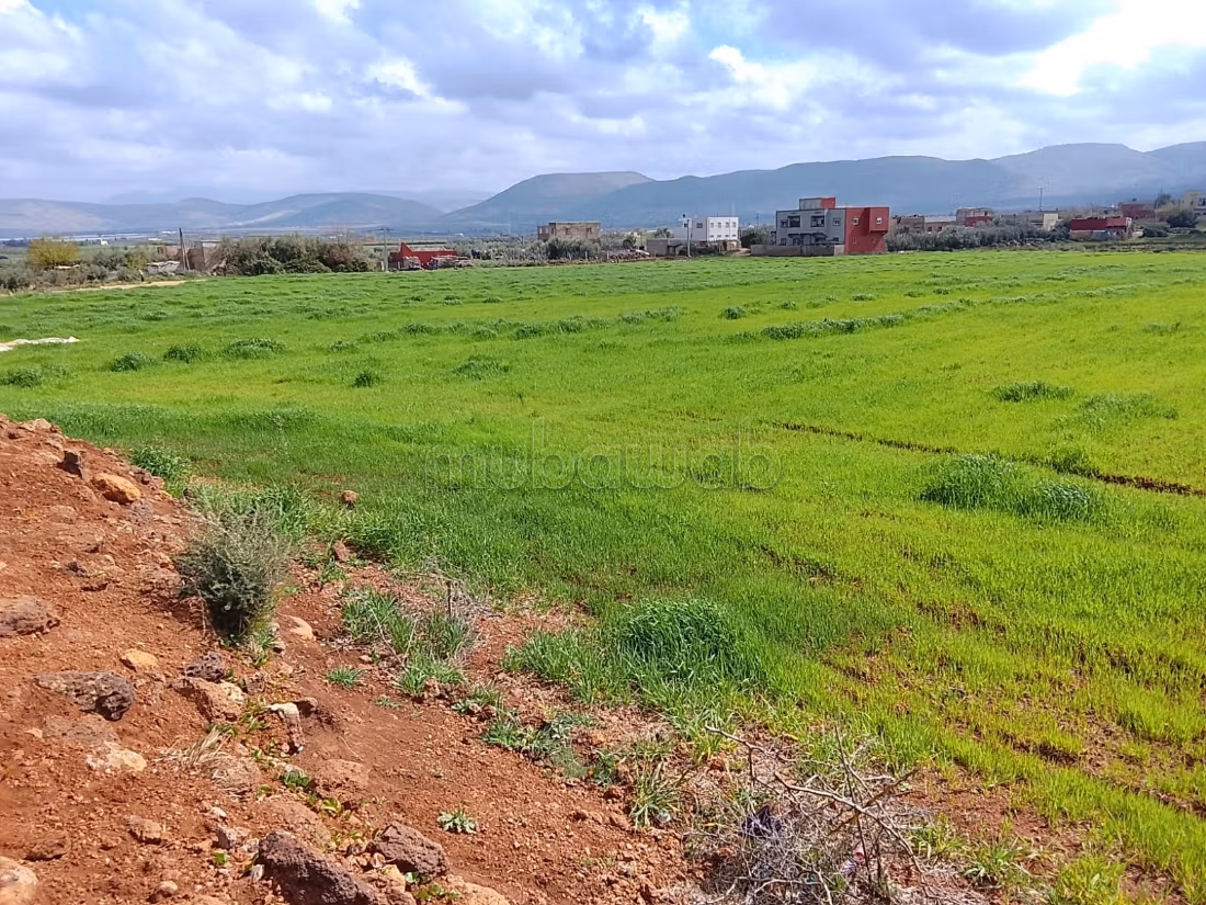 Terrain à la vente à Narjis. 
Surface totale 25000 m²