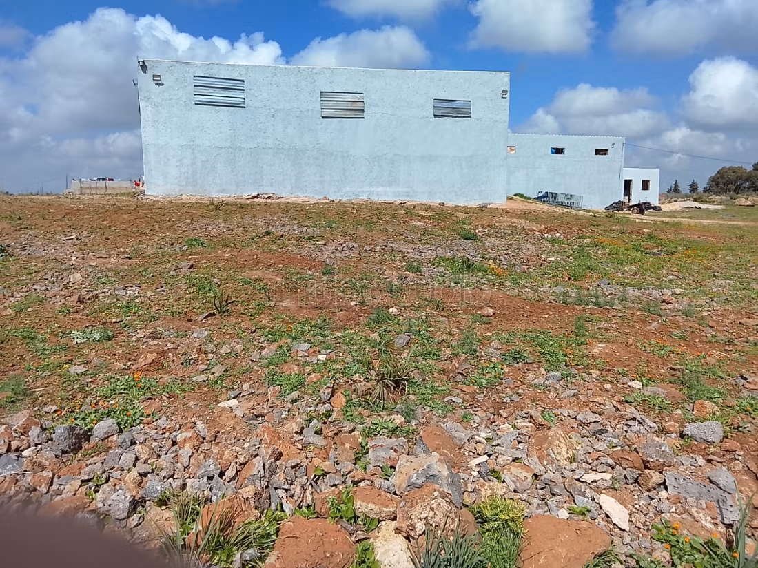 Terrain à la vente à Narjis. 
Surface totale 25000 m²