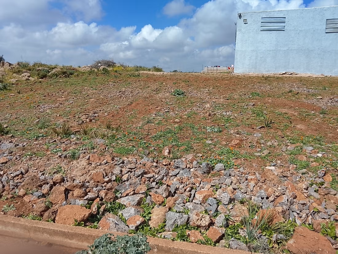 Terrain à la vente à Narjis. 
Surface totale 25000 m²