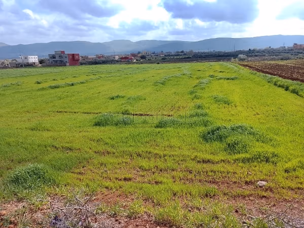 Terrain à la vente à Narjis. 
Surface totale 25000 m²
