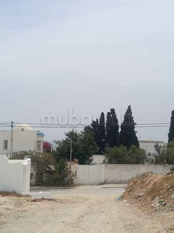 Jolie terrain a hammamet