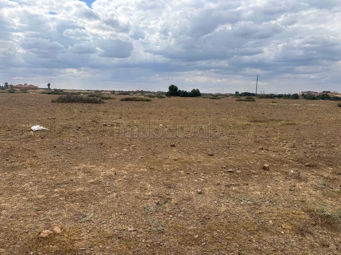 Land for purchase. Total area 10000 m²