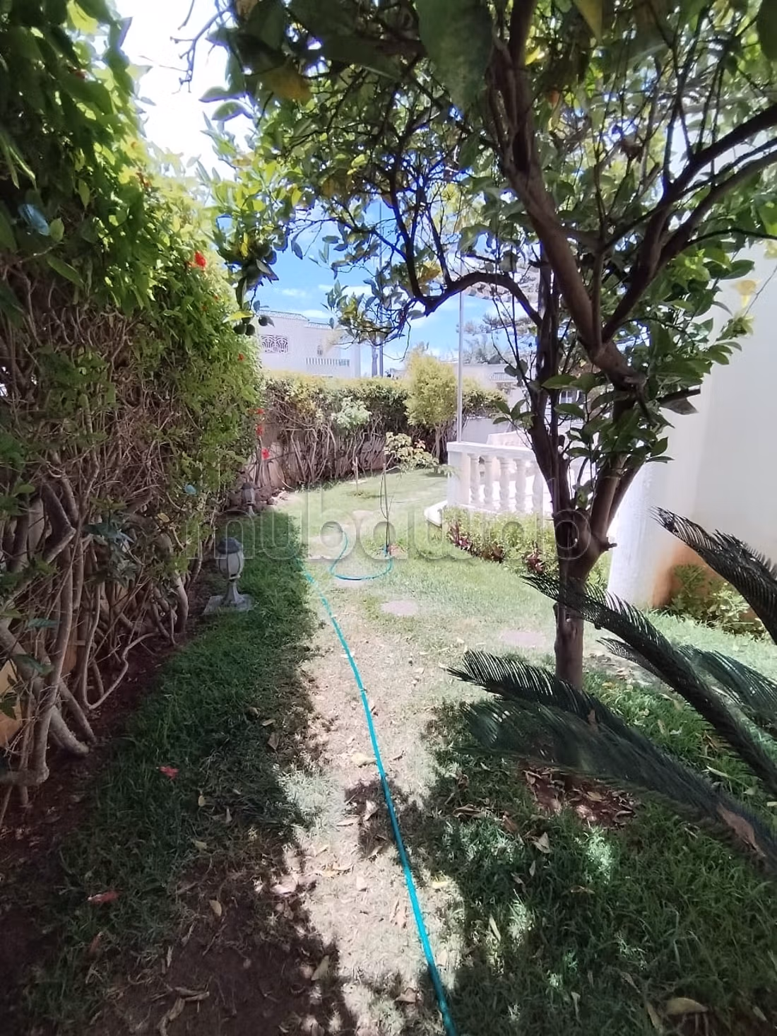 Superba villa familiare 600 m² in affitto a Hay Riad
