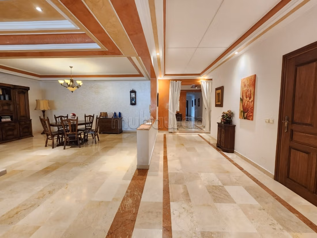 Appartement 338 m² f Palmier — 7