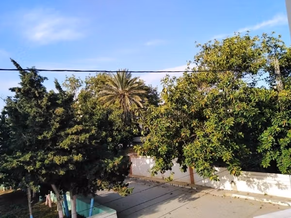 Charming apartment for vacation rental in Kelibia