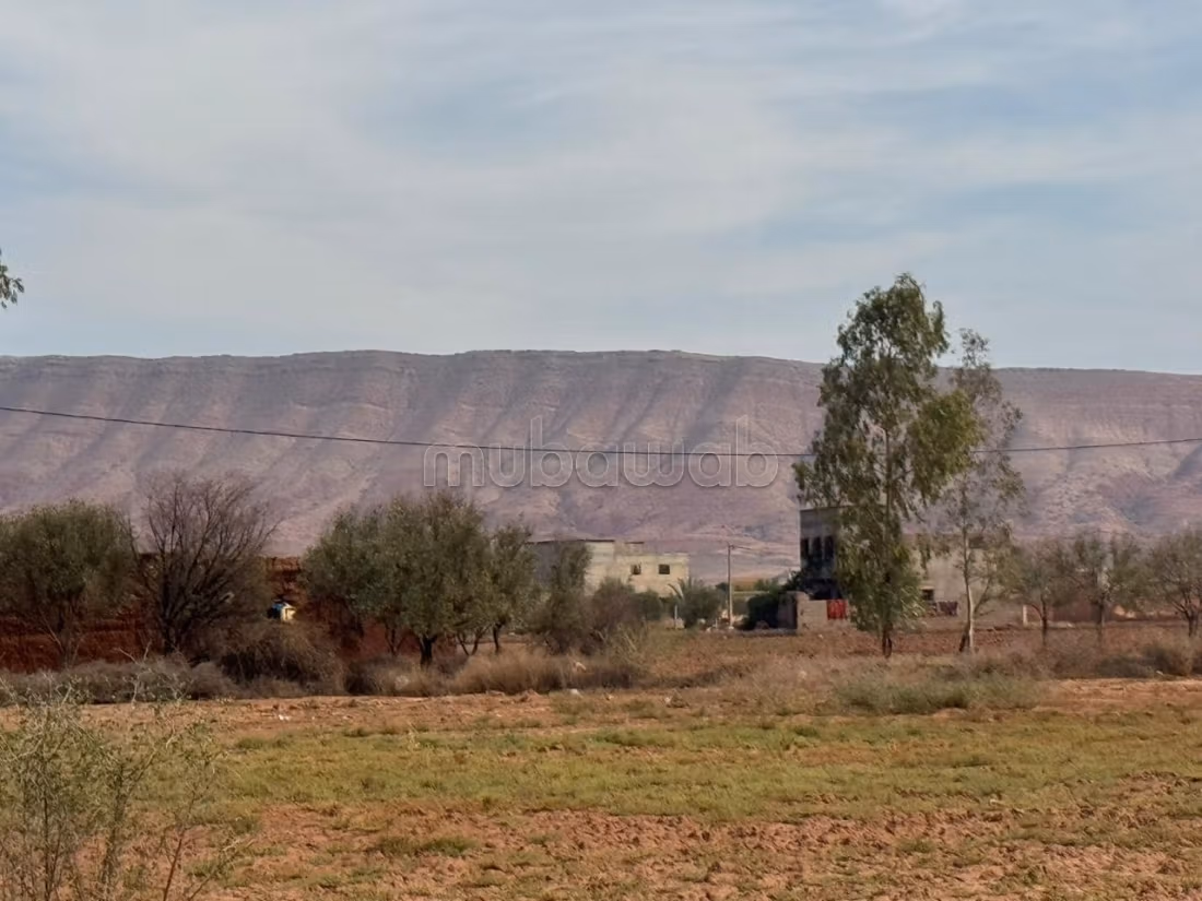 Opportunità da cogliere, terreno titolato a prezzo stracciato
