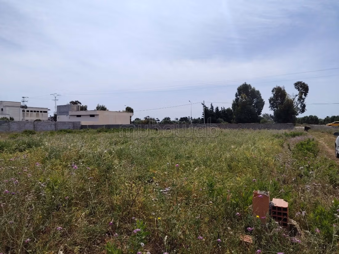 Terrain a vendre à hammem ghzez