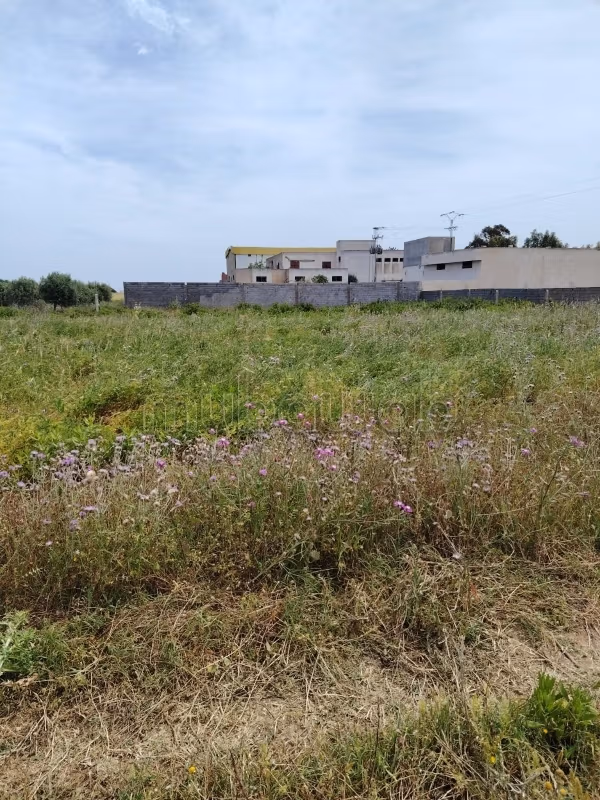 Land for sale in Hammam Ghzez