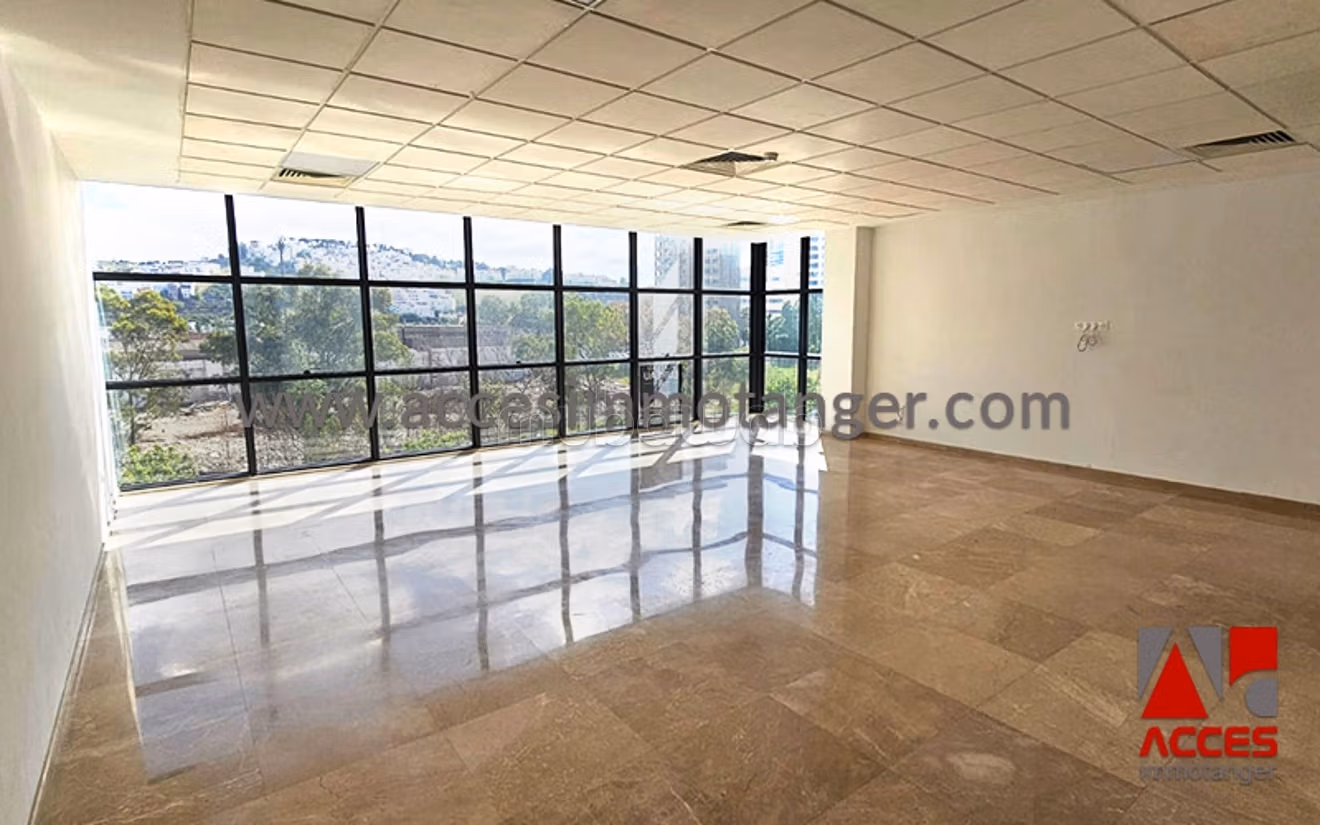 Ufficio Professionale in Affitto