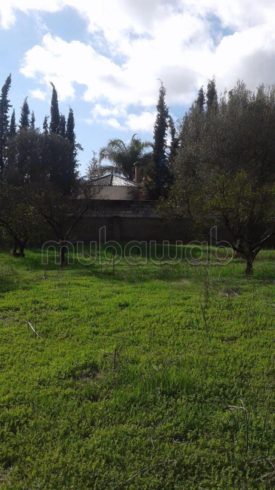 Villa te koop