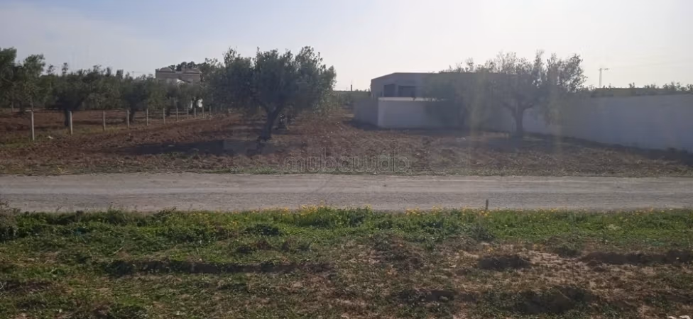 Terrain à 5 min de Yasmine Hammamet