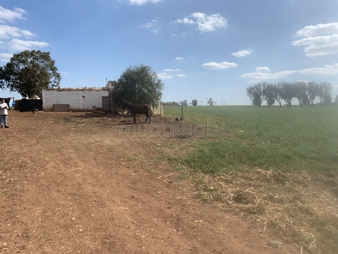Land for sale. Small area 15000 m²