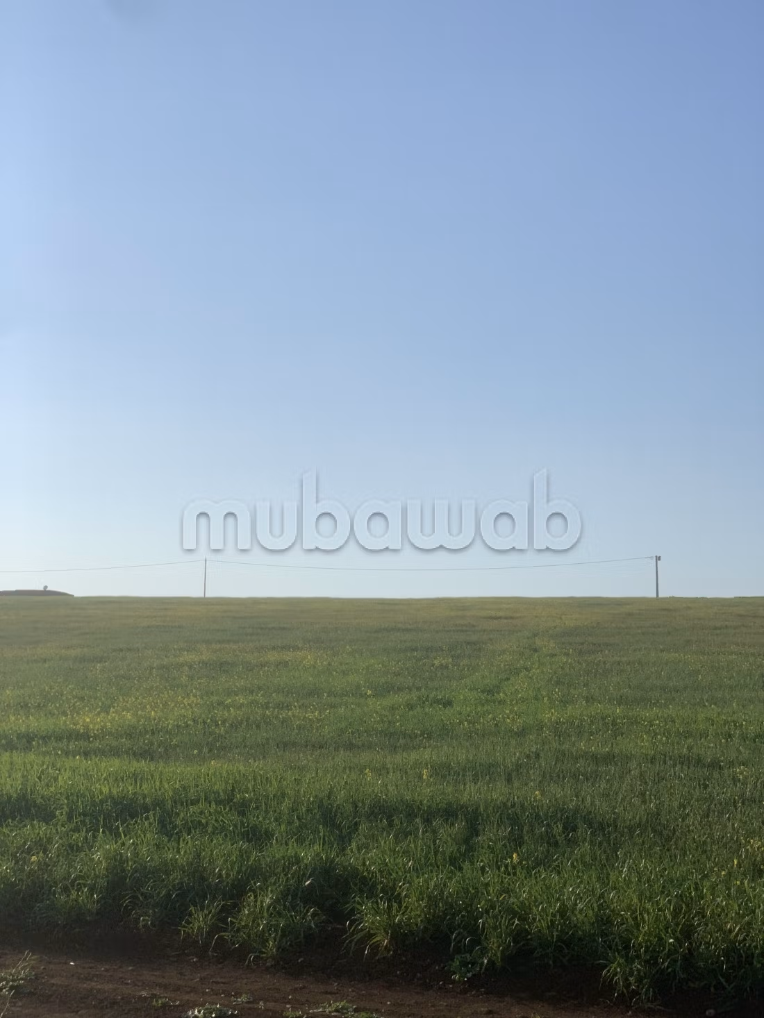 Land for sale. Small area 15000 m²