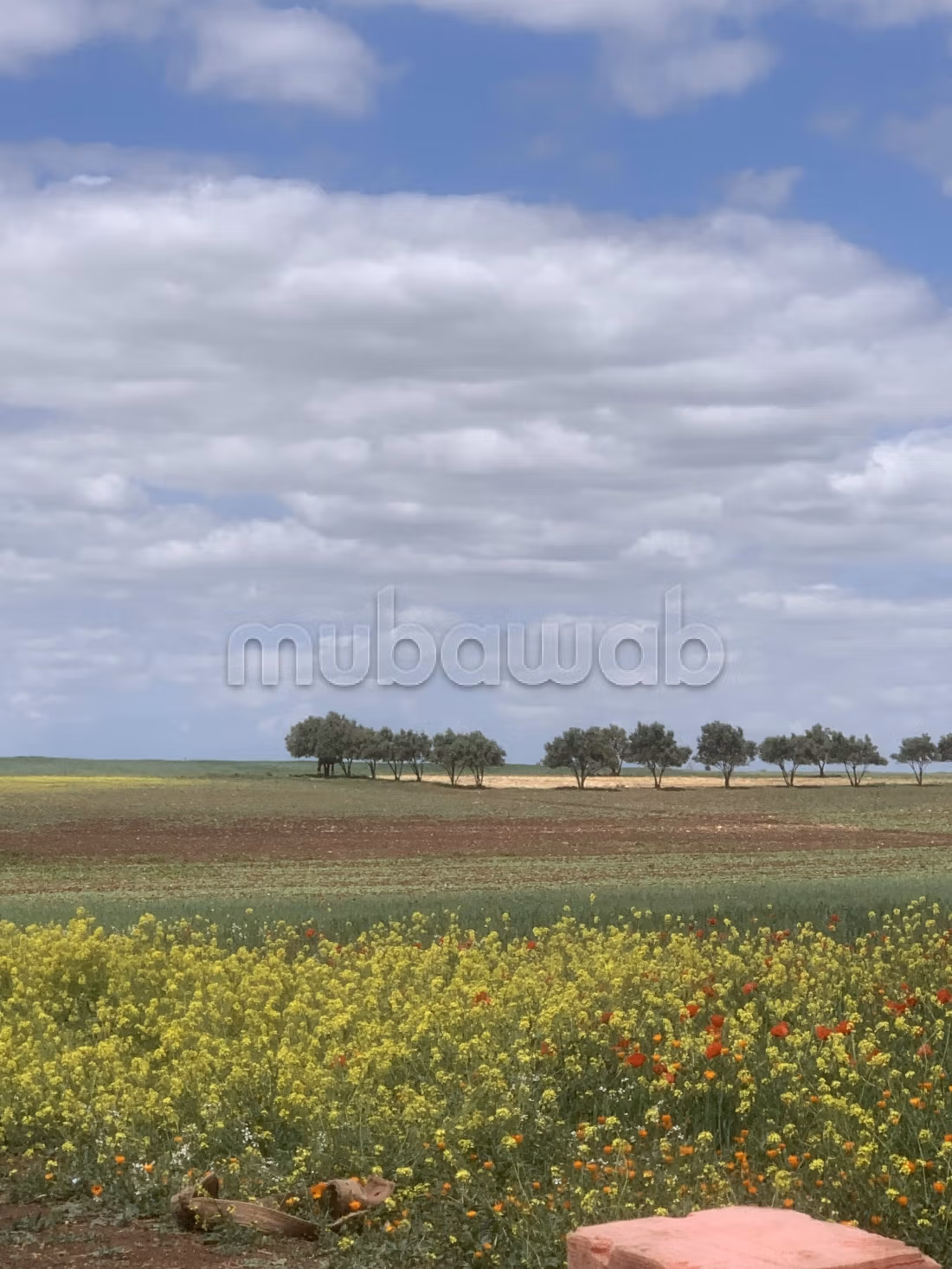 Land for sale. Small area 15000 m²