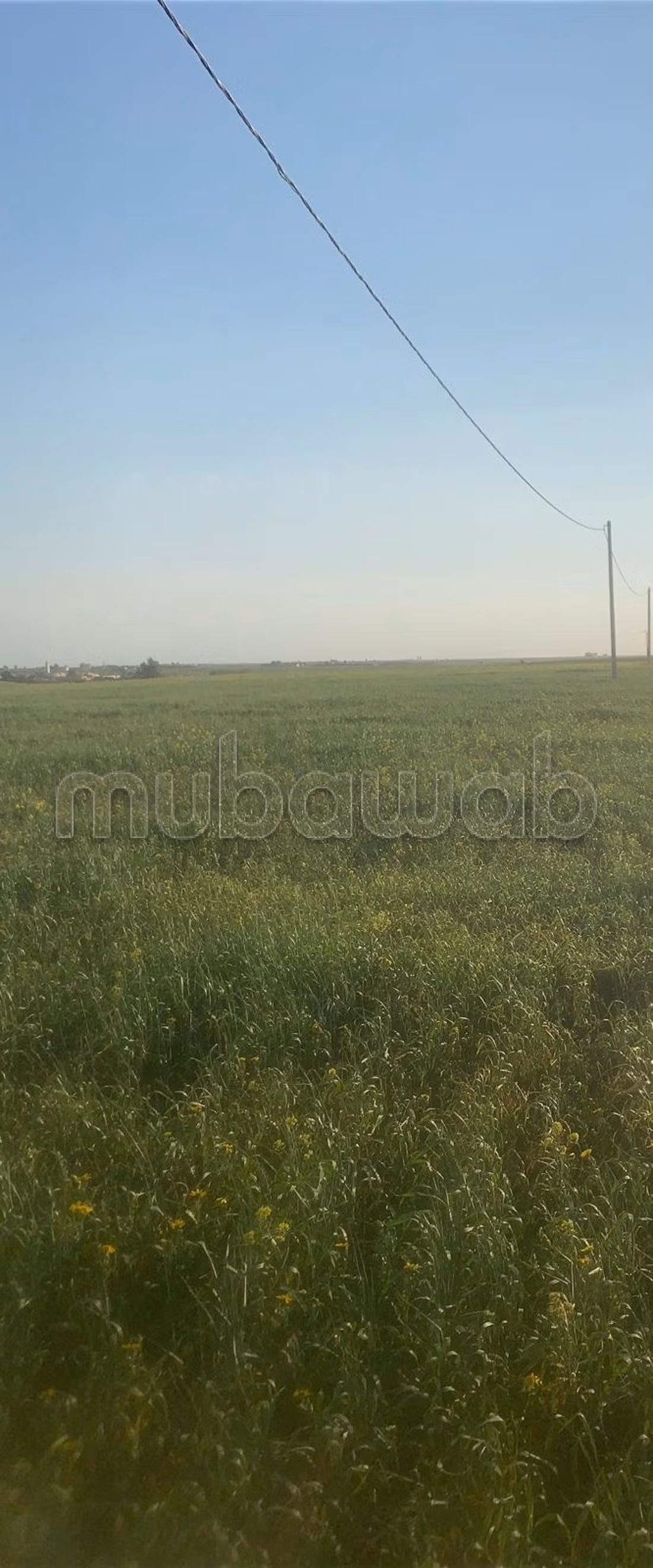 Land for sale. Small area 15000 m²