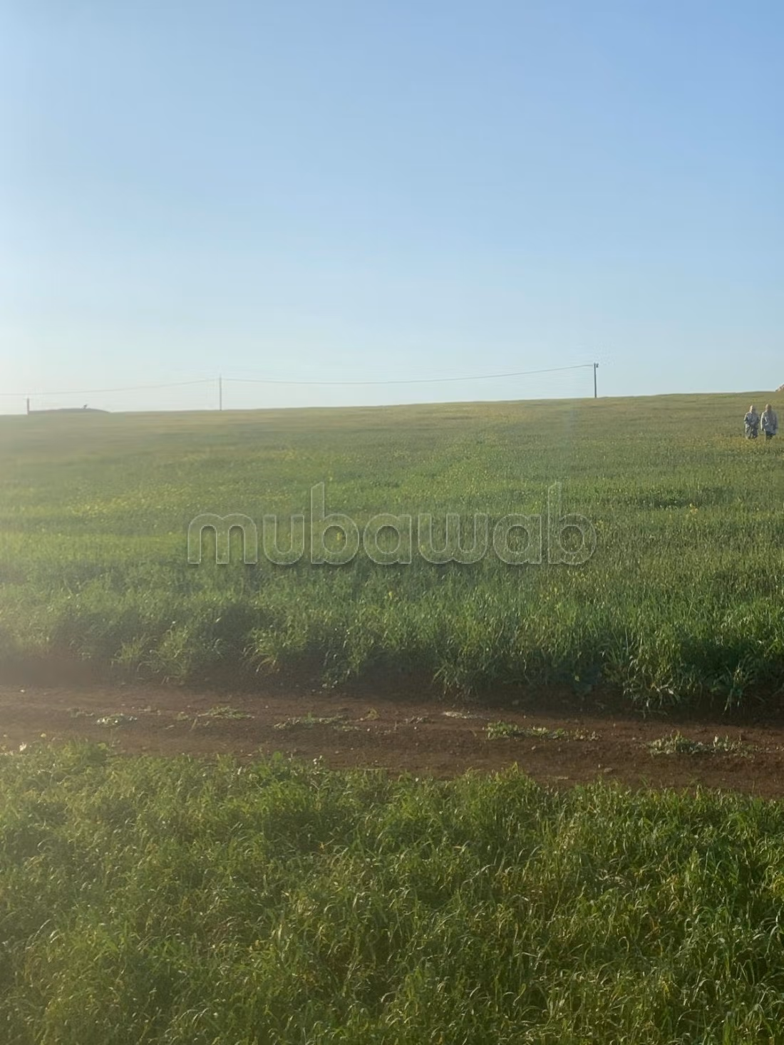 Land for sale. Small area 15000 m²