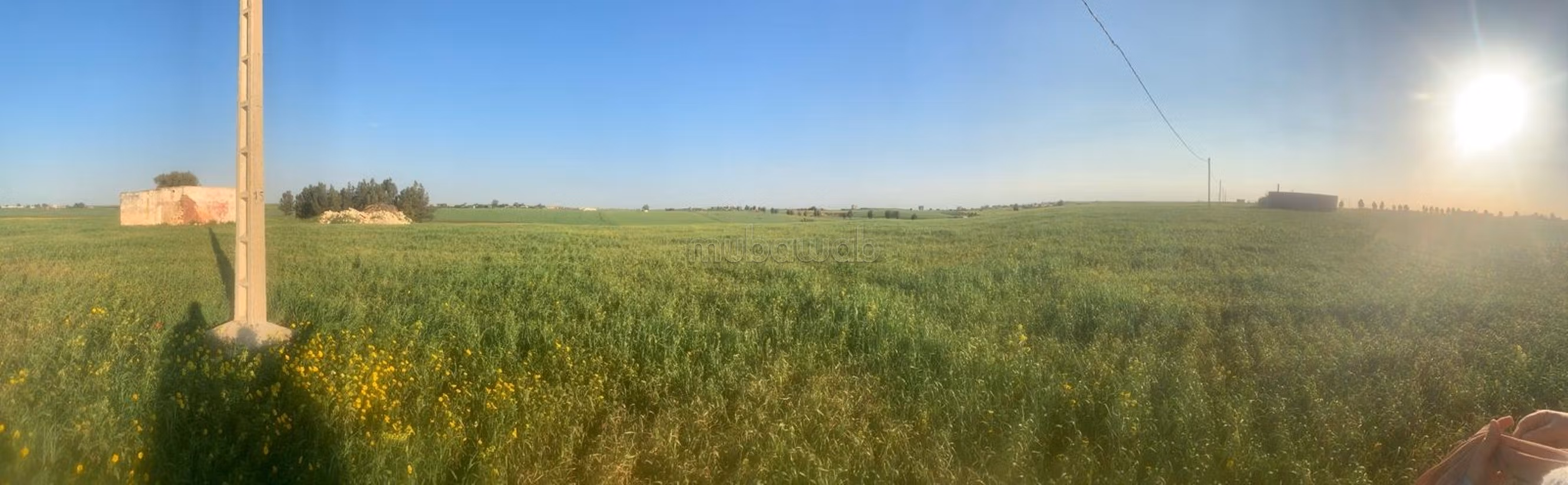 Land for sale. Small area 15000 m²