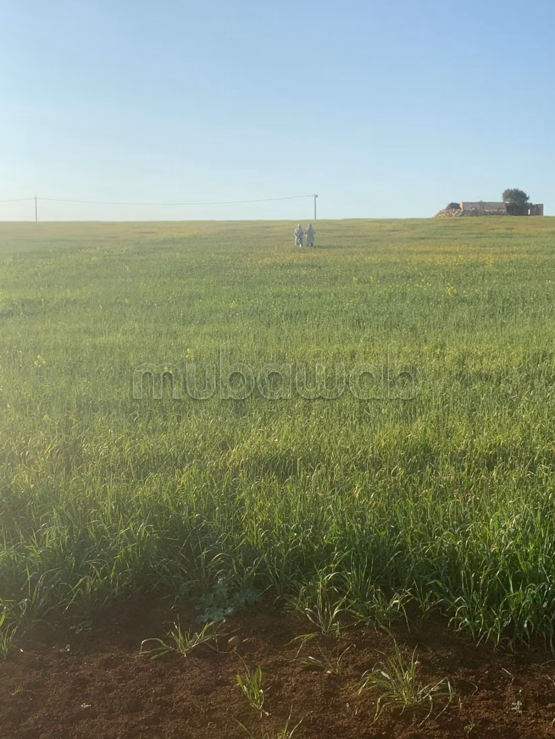 Land for sale. Small area 15000 m²