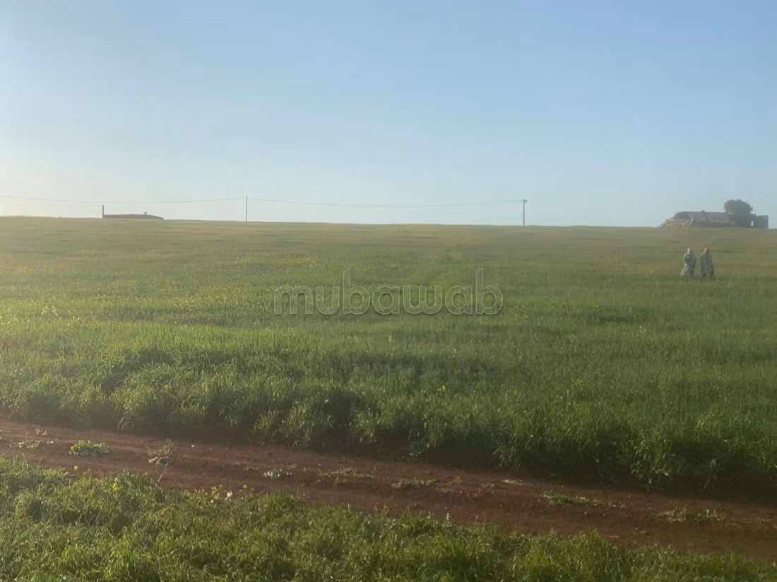Land for sale. Small area 15000 m²
