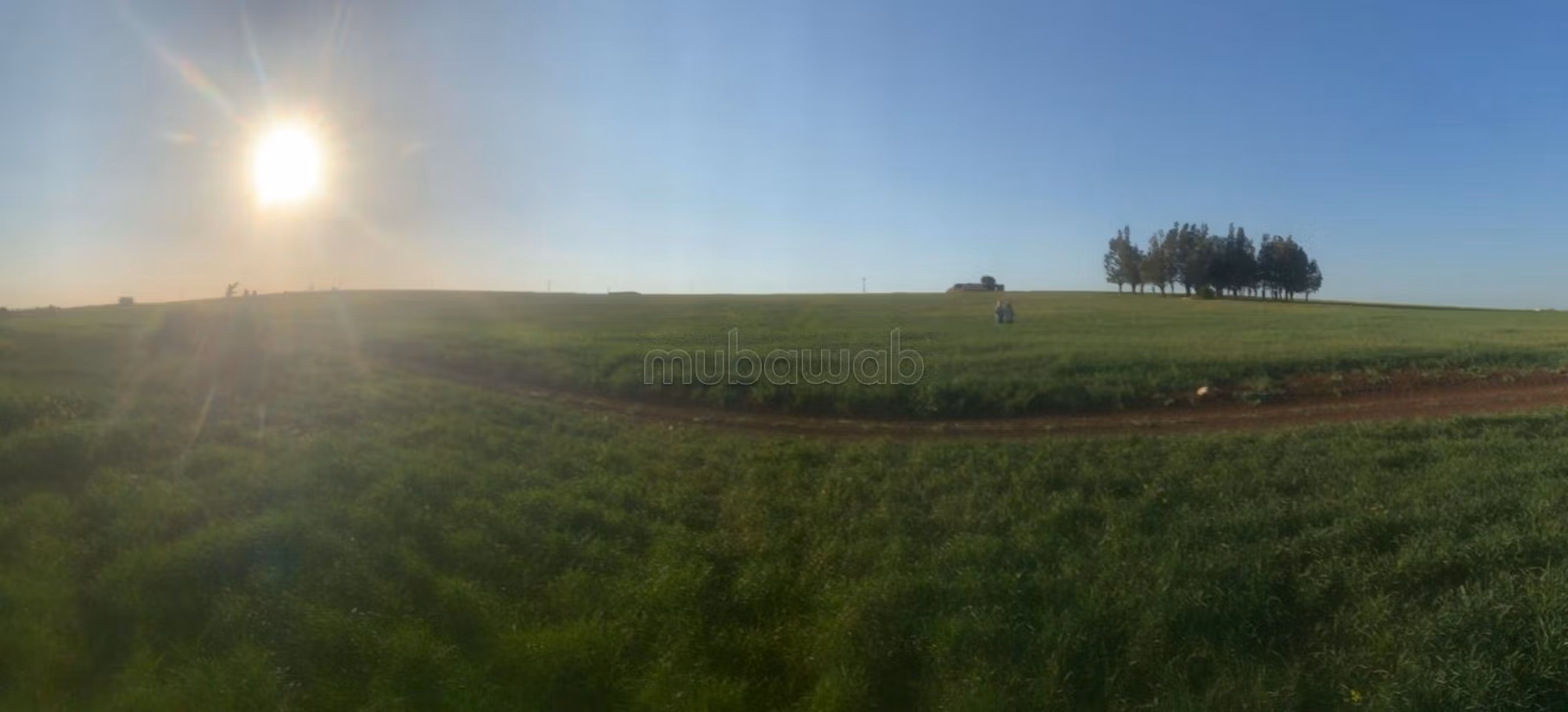 Land for sale. Small area 15000 m²