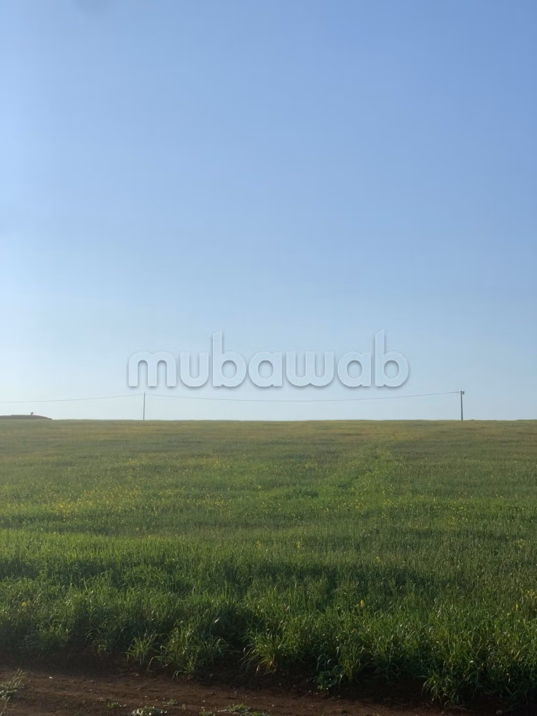Land for sale. Small area 15000 m²