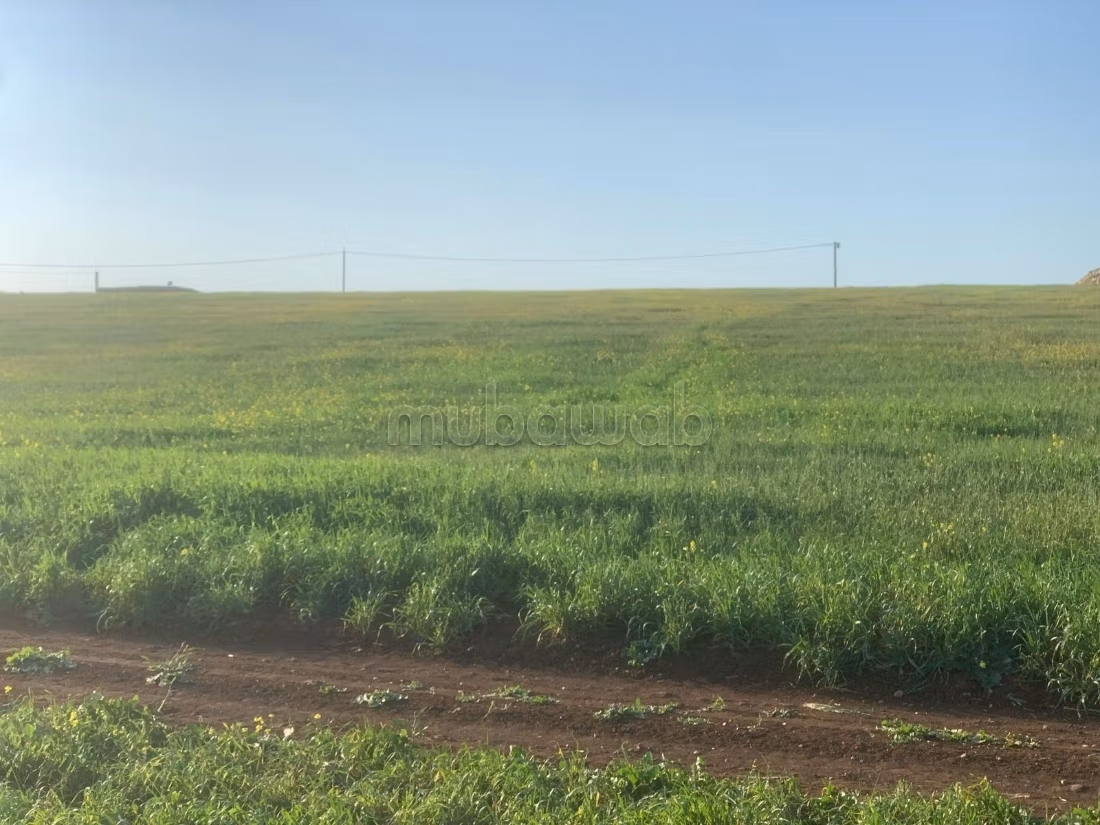Land for sale. Small area 15000 m²