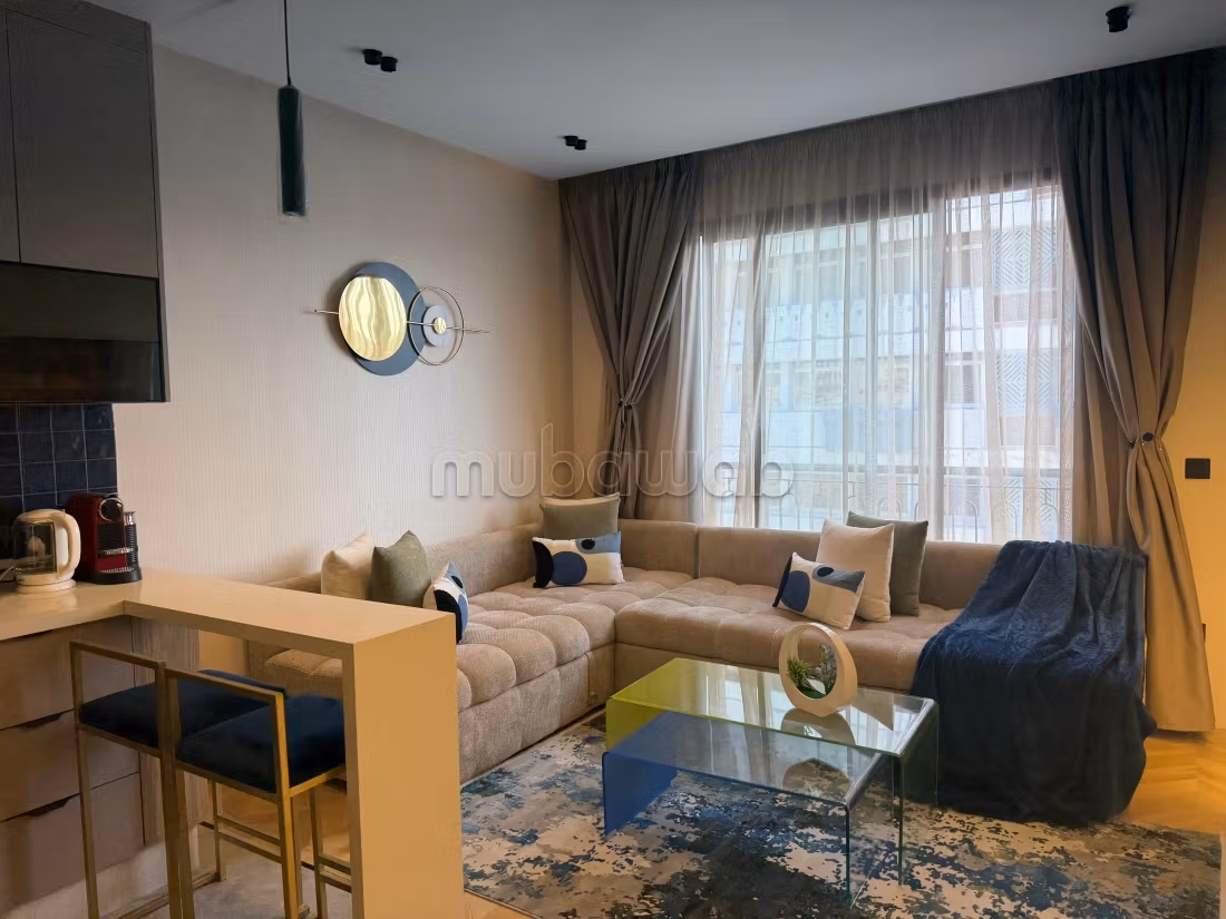 Magnificent studio for rent in Palmier,
