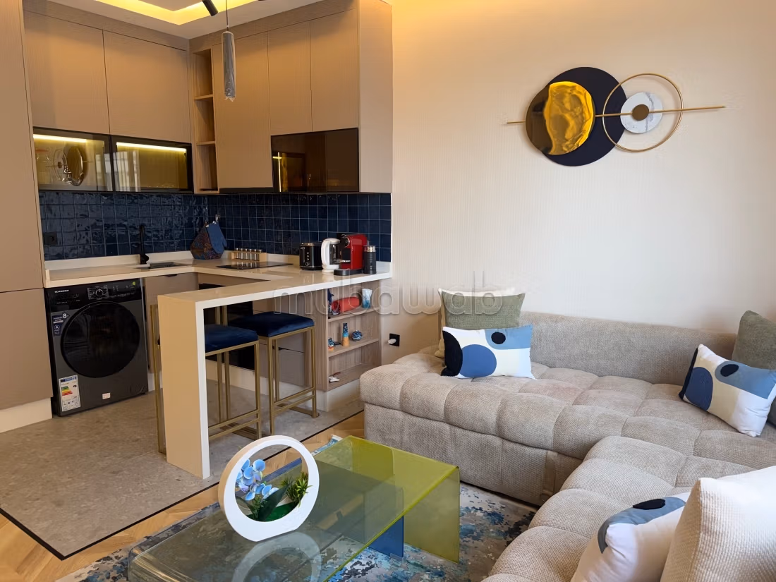 Magnificent studio for rent in Palmier,