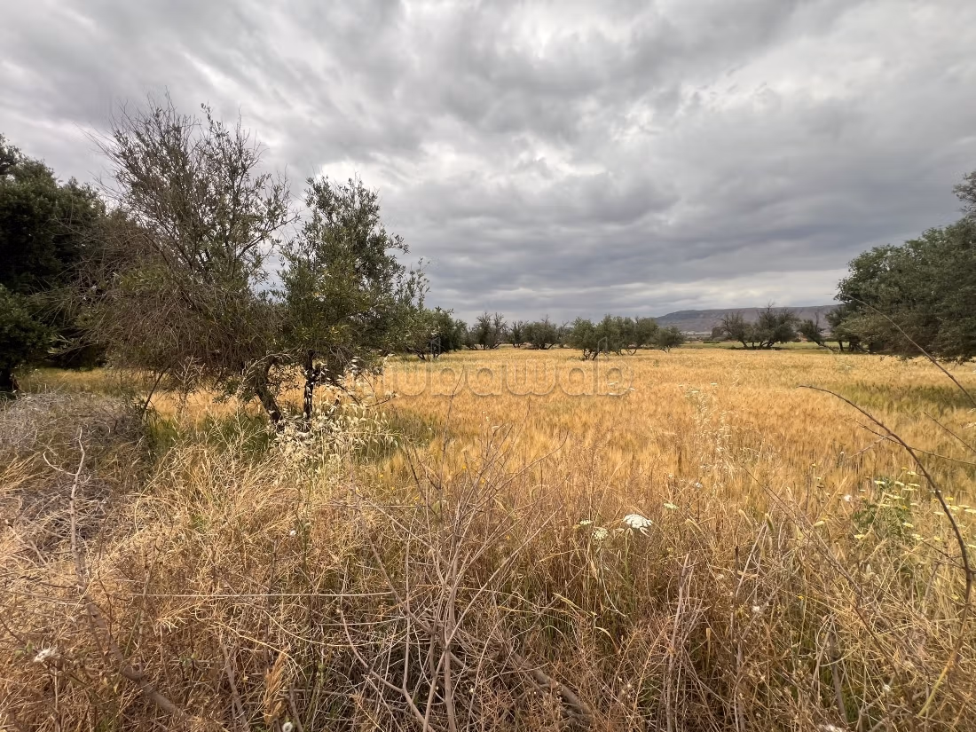 Terrain à vendre à Ait Faska. 
Surface de 3000 m²